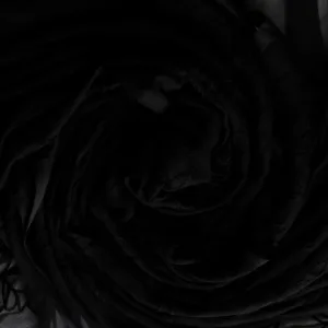 embroidered chiffon dupatta 4