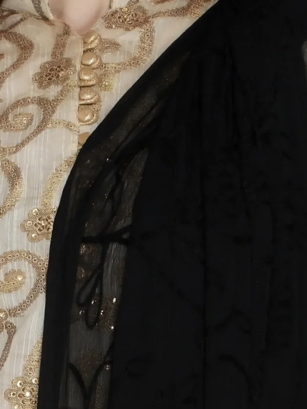 embroidered chiffon dupatta 6
