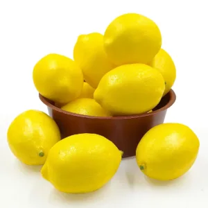 fake lemons realistic 1
