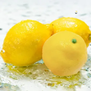 fake lemons realistic 2