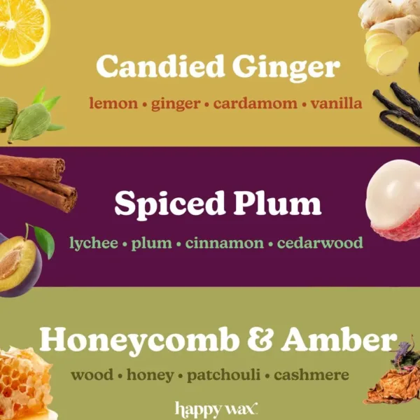 fall scented wax melts 2