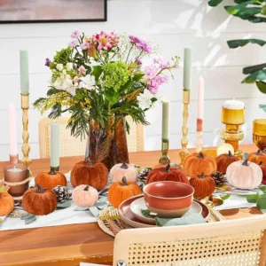 fall velvet pumpkins 3