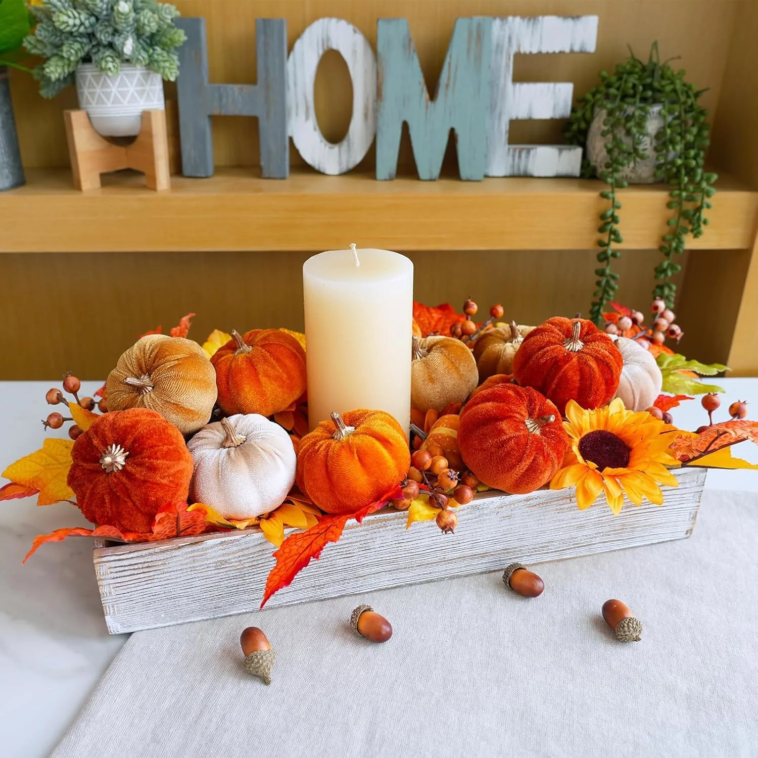 fall velvet pumpkins 5