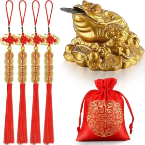 feng shui money frog 1