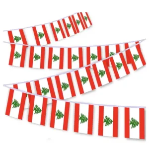 flag bunting banner 1