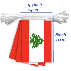 flag bunting banner 2