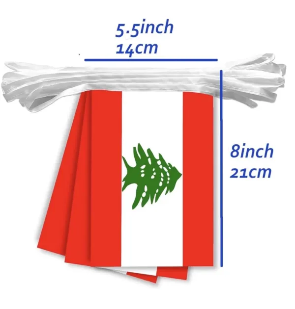 flag bunting banner 2