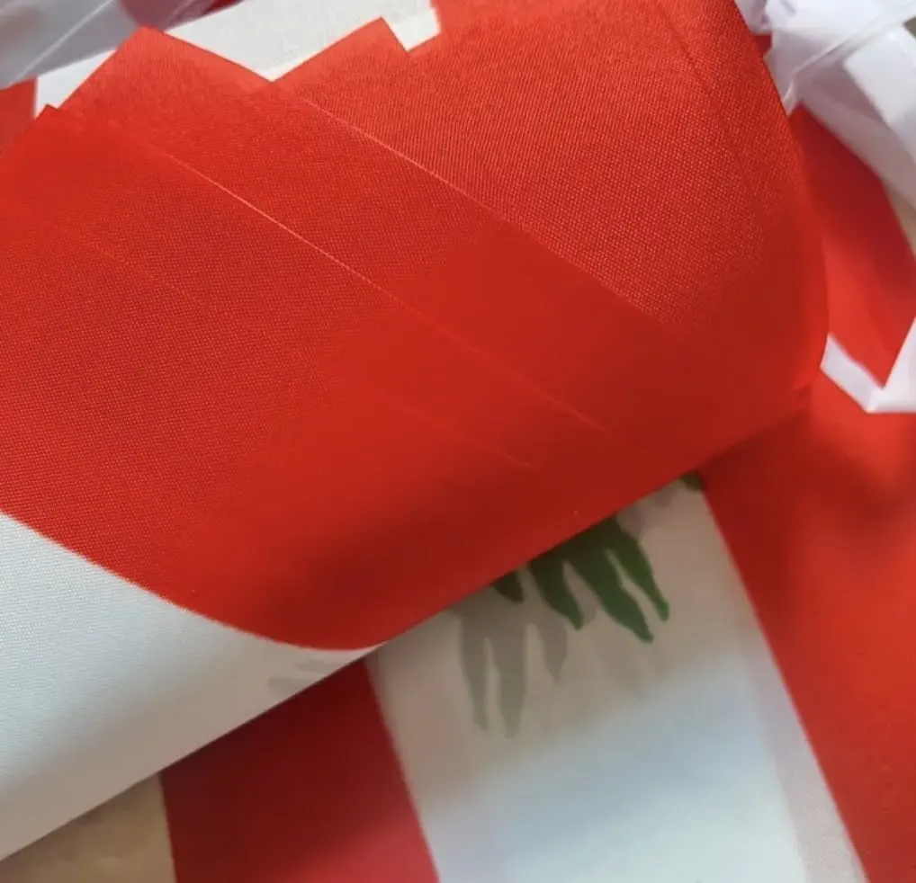 flag bunting banner 3