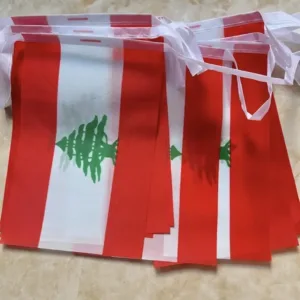 flag bunting banner 4