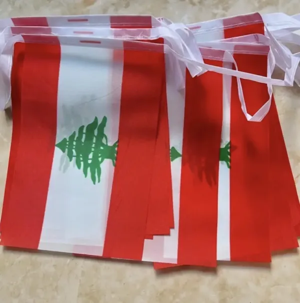 flag bunting banner 4