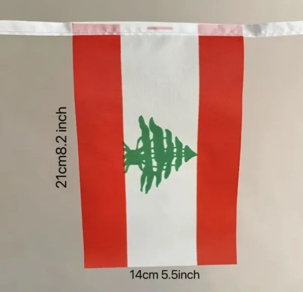 flag bunting banner 5