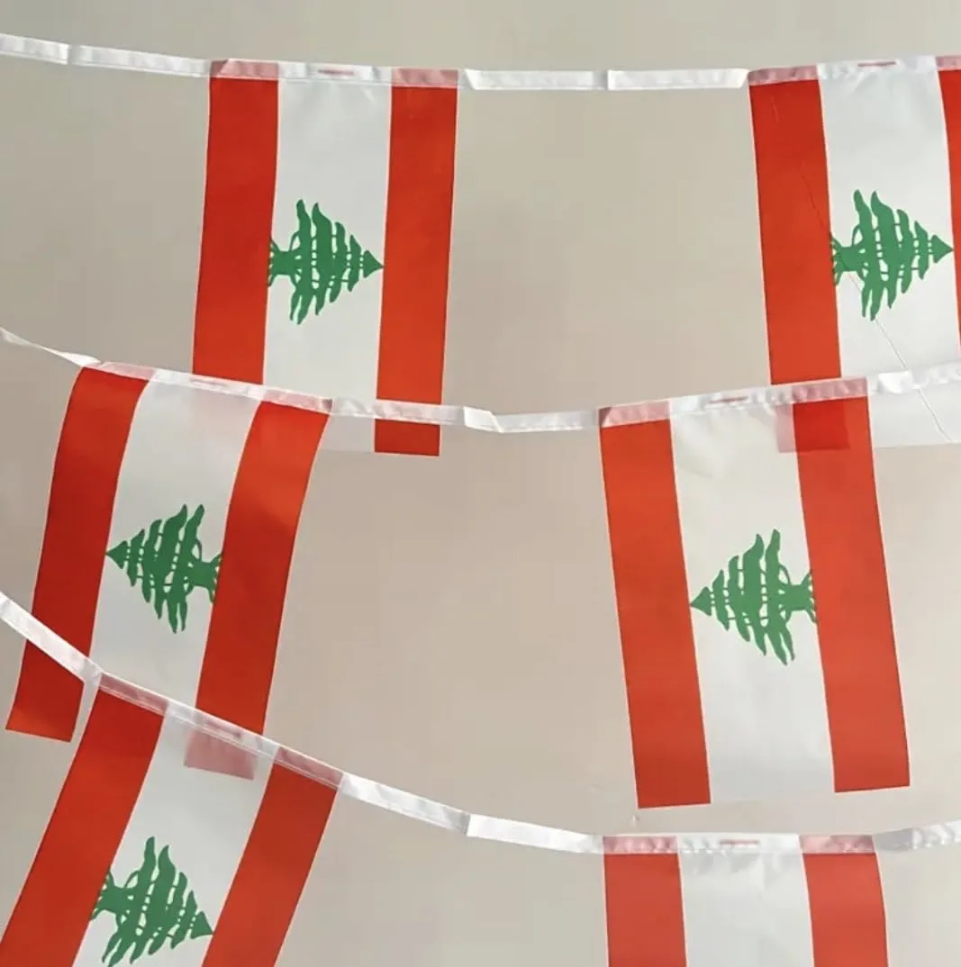 flag bunting banner 6