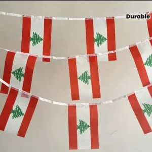 flag bunting banner 7
