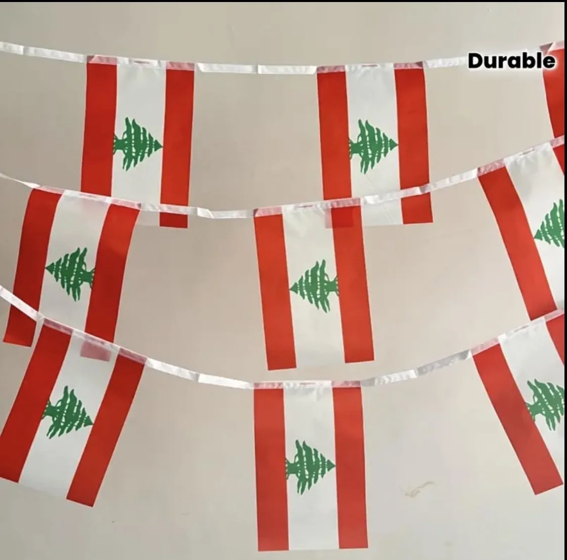 flag bunting banner 7