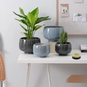 flower frog kenzan set 5