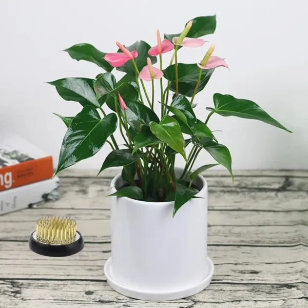 flower frog kenzan set 6