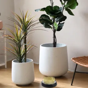 flower frog kenzan set 7