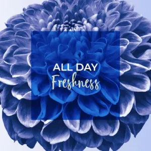 freshdays daily liners 6