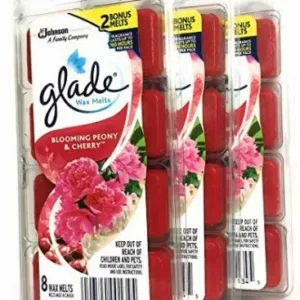 glade apple cinnamon melts 3