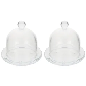 glass cloche dome 1