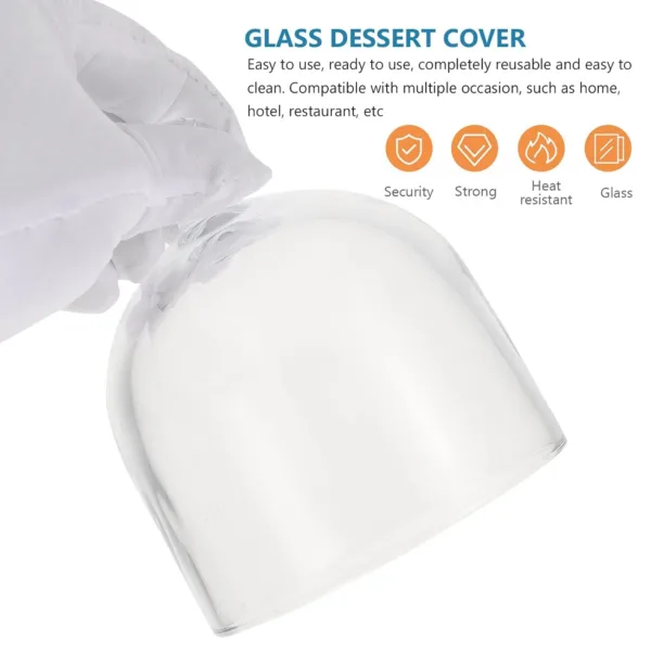 glass cloche dome 3