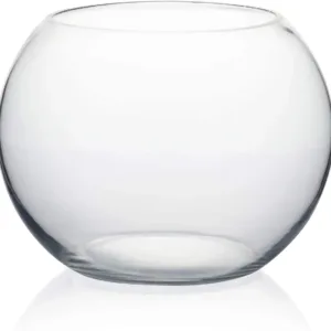 glass fish bowl 1