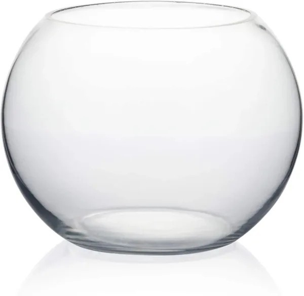 glass fish bowl 1