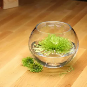 glass fish bowl 6