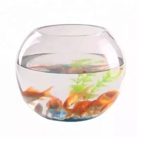 glass fish bowl 7