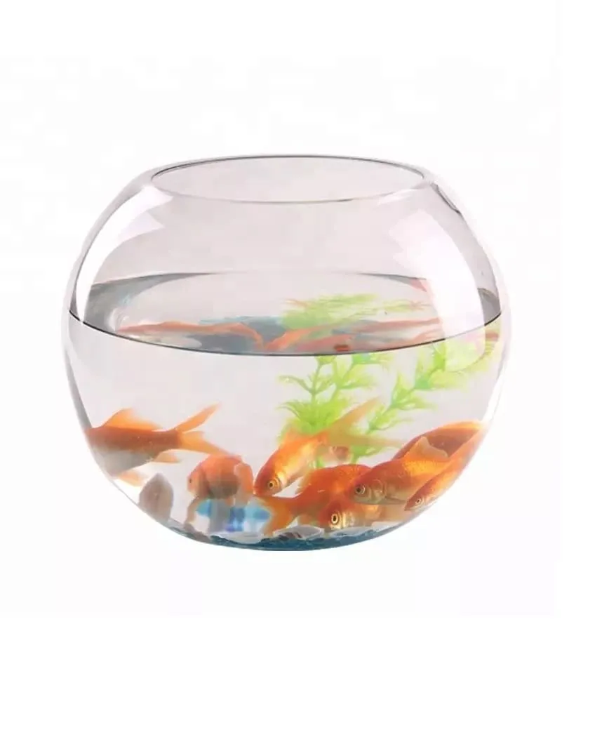 glass fish bowl 7