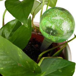 glass watering globes 5