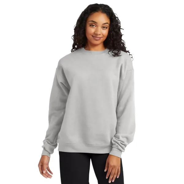 hanes ecosmart fleece 2