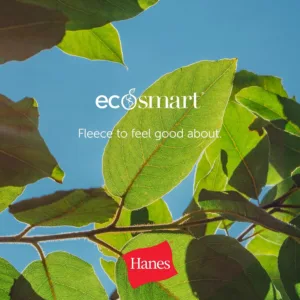 hanes ecosmart fleece 7