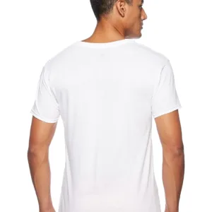 hanes mens v neck 2