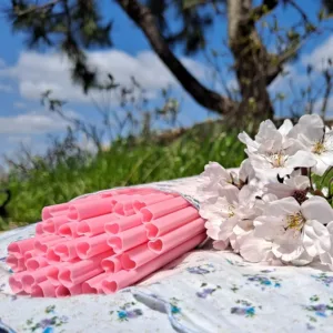 This set of 100 individually wrapped, disposable, heart-shaped pink plastic straws adds a touch of lovely, bright mood to daily drinks, parties, celebrations, picnics, and bridal showers.