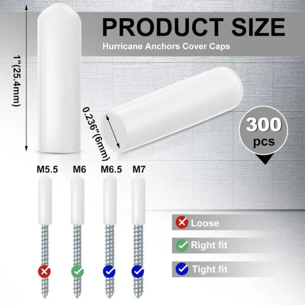 hurricane shutter screw caps 2