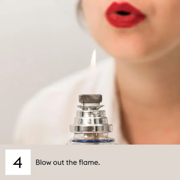 lampe berger refill 6