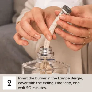 lampe berger sandalwood refill 4