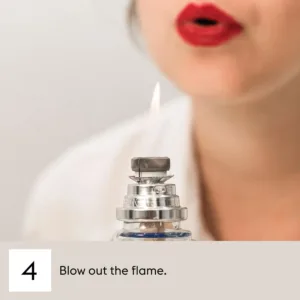 lampe berger sandalwood refill 6