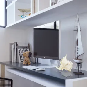 large sea shells murex 5