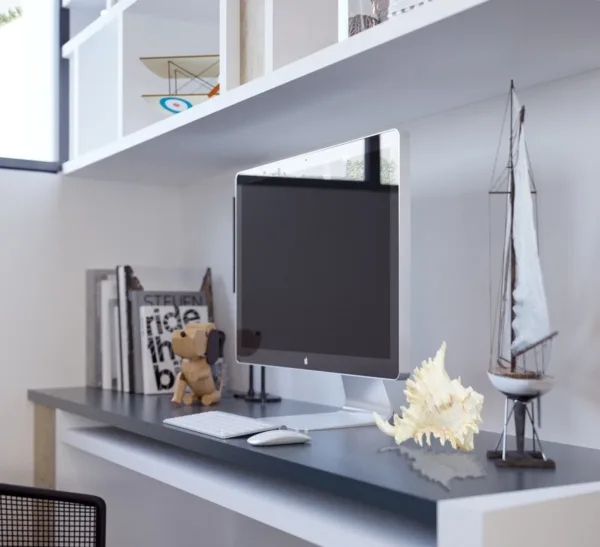 large sea shells murex 5