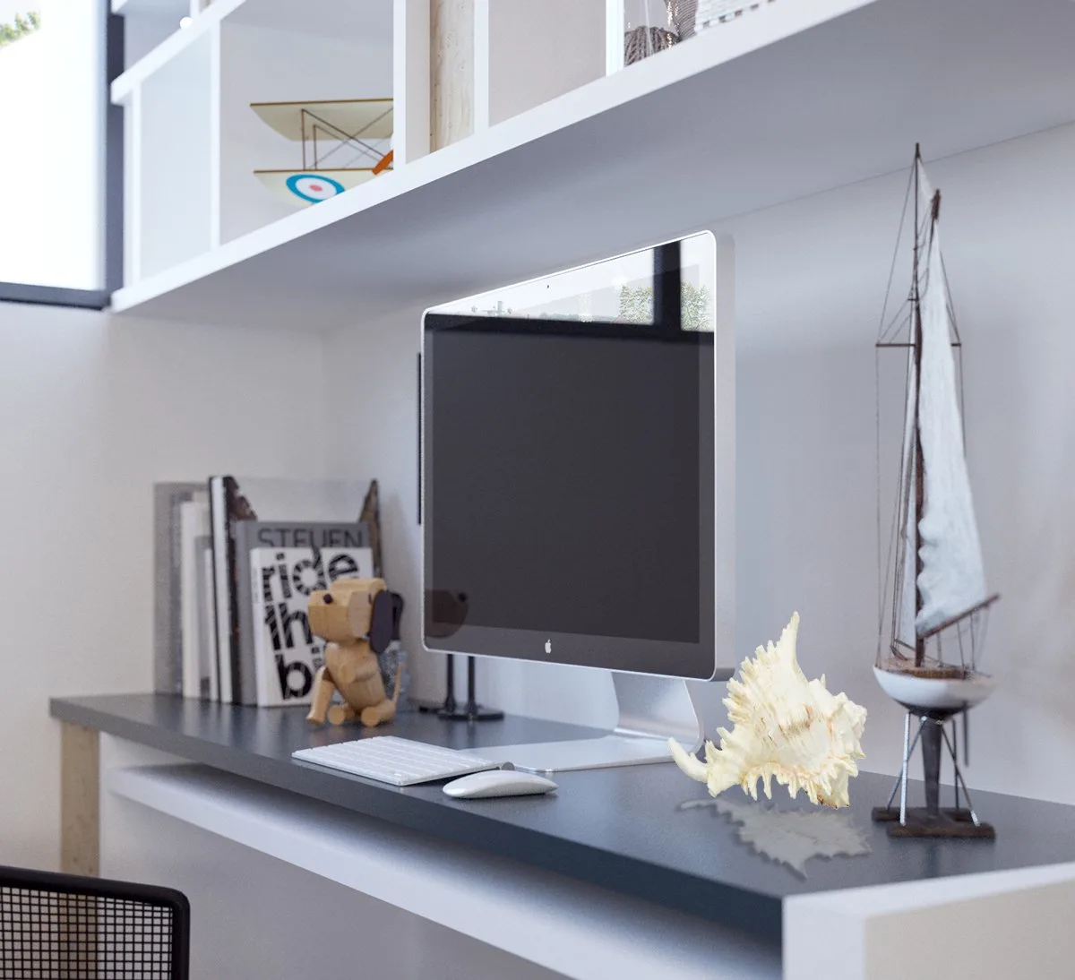 large sea shells murex 5