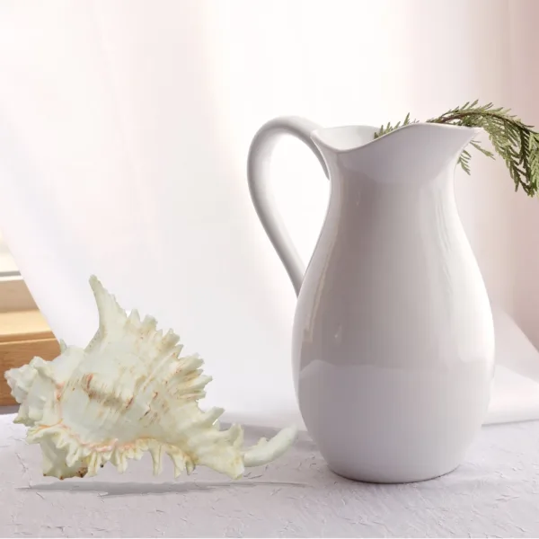 large sea shells murex 6