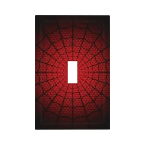 light switch cover plate 1