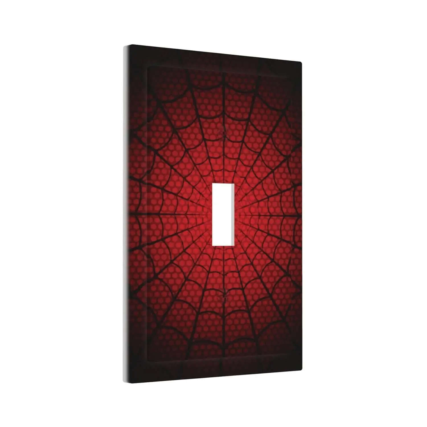 light switch cover plate 2