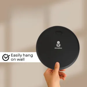 madhubani wall decor 4