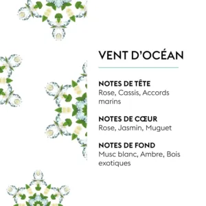 maison berger ocean breeze 2