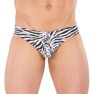 mens bikini swimsuit 2