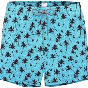 mens swim trunks 2
