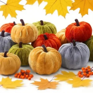 mini pumpkins fall halloween 1